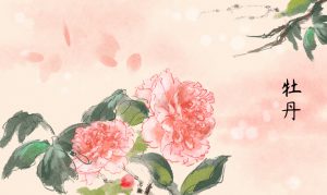 四月，牡丹花绽放|金迪克2022年4月优秀质量奖获得者风采展示